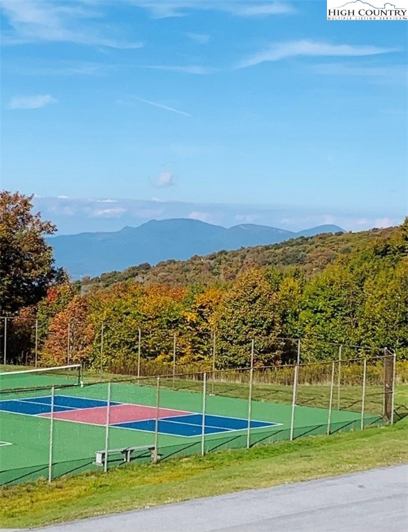 301 Pinnacle Inn Road, Unit 1105 Beech Mountain, NC 28604 - Photo 27 of 40 a view of a city