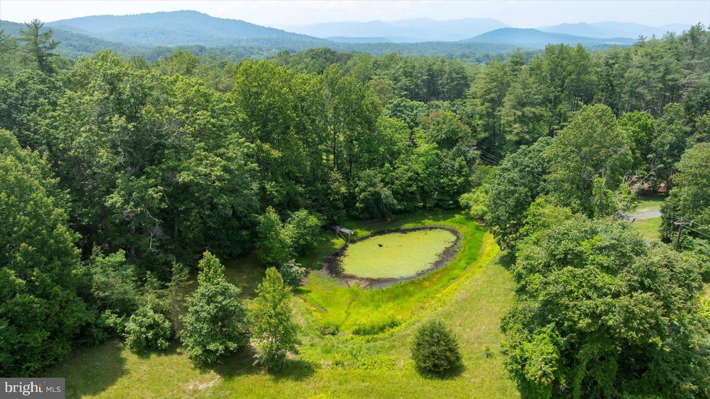 274 A Aaron Mountain Road Castleton, VA 22716 - Photo 61 of 76 Serene landscape with lush greenery and pond.