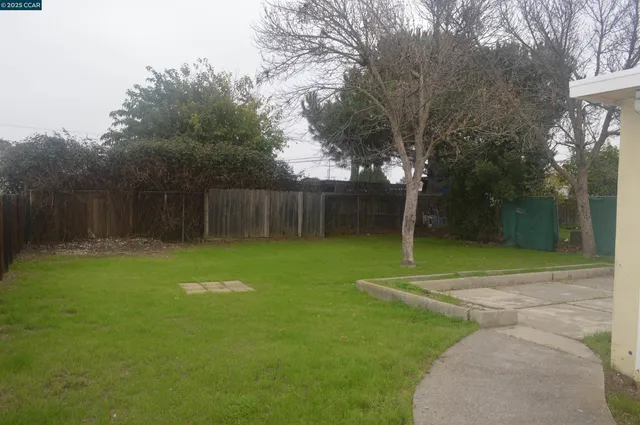 a view of a backyard with large trees