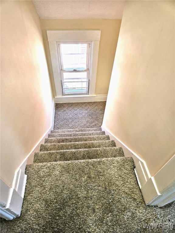 394 Olympic Avenue Buffalo, NY 14215 - Photo 13 of 49