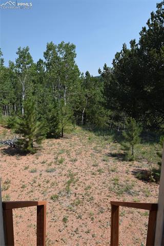 80 Spur Road Divide, CO 80814 - Photo 48 of 48 View of yard