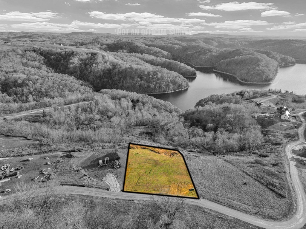 0 Bald Eagle Road Celina, TN 38551 - Photo 8 of 21