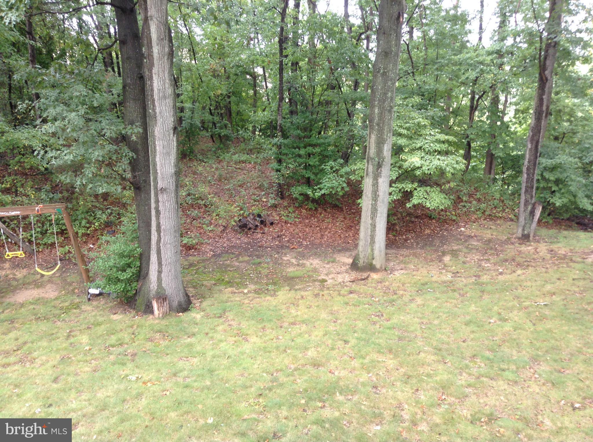 6814 Mayo Court Springfield, VA 22150 - Photo 8 of 30 a view of a yard with trees