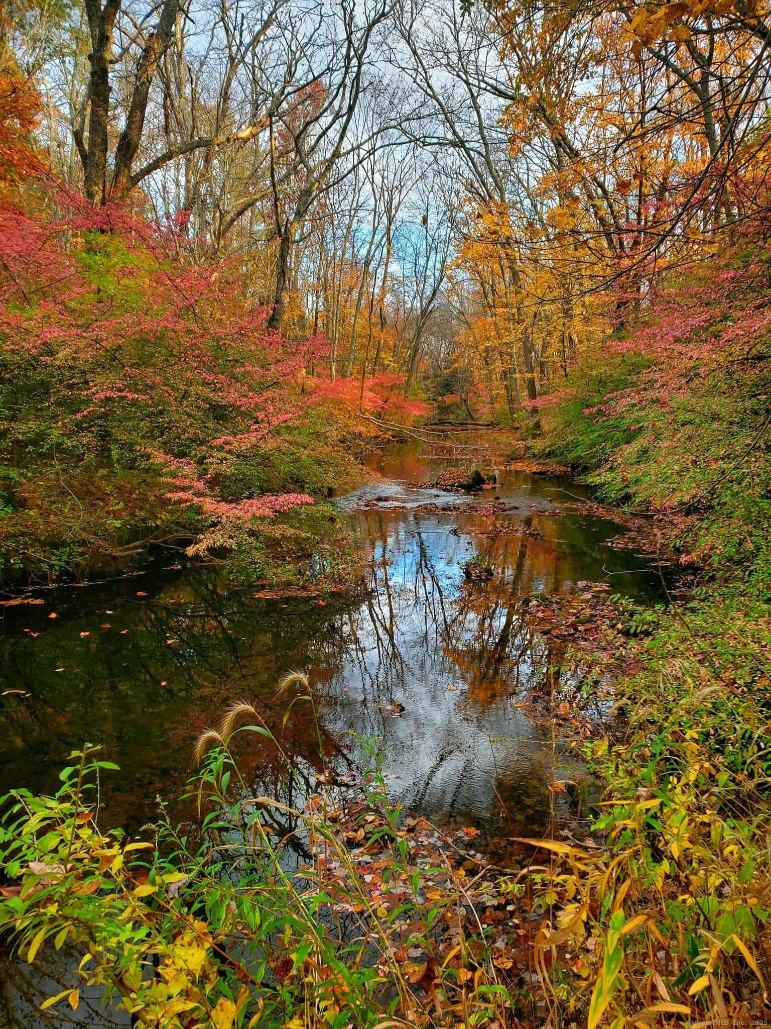 414 Canterbury Road Brooklyn, CT 06234 - Photo 35 of 40 Blackwell Brook