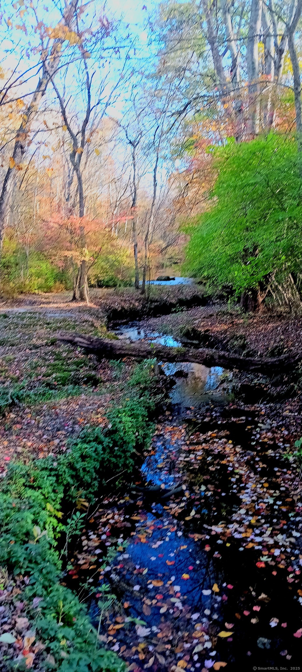 414 Canterbury Road Brooklyn, CT 06234 - Photo 36 of 40