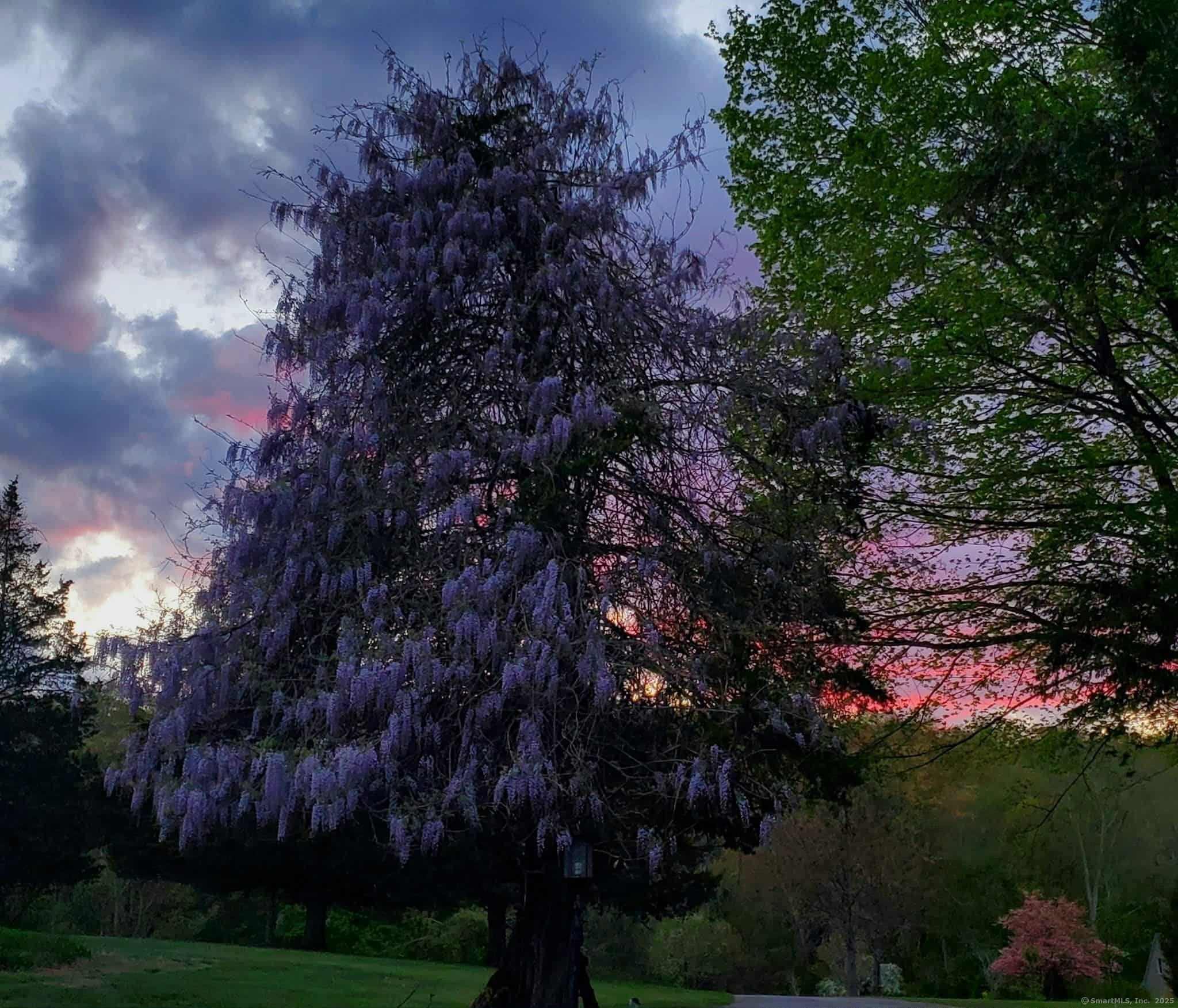 414 Canterbury Road Brooklyn, CT 06234 - Photo 39 of 40