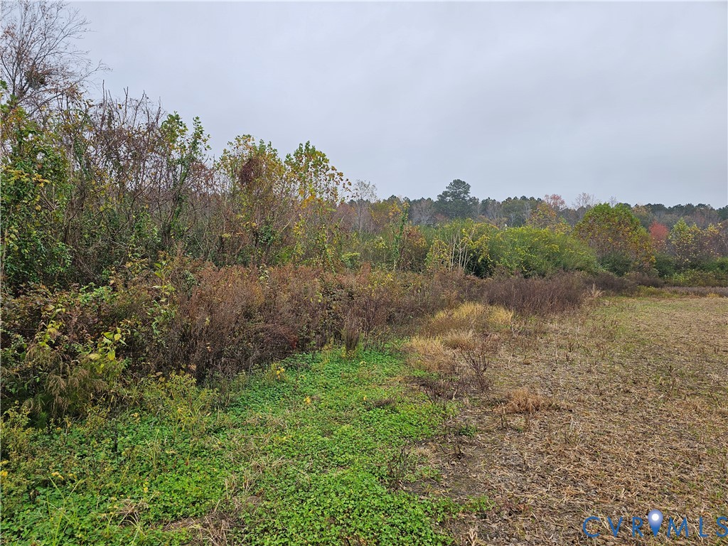 0 Ellis Road Suffolk, VA 23437 - Photo 14 of 29 a view of a lake with a mountain in the background
