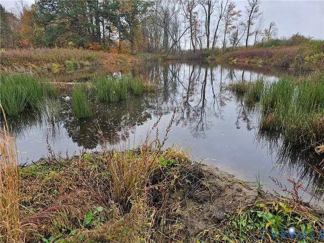 a view of a yard next to a lake