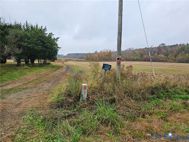 a view of a lake with a large trees