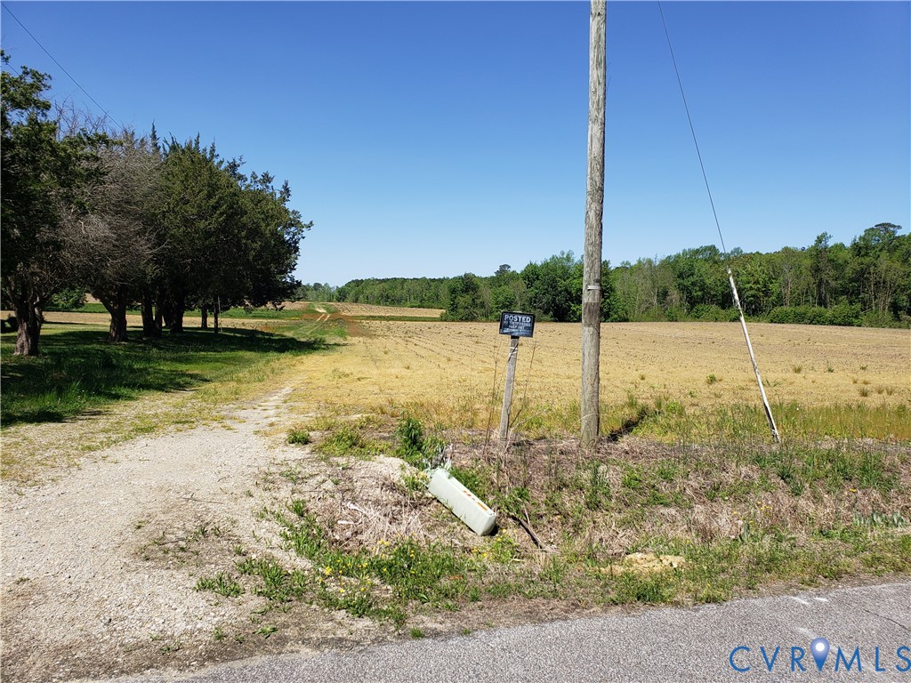 0 Ellis Road Suffolk, VA 23437 - Photo 4 of 29 a view of a backyard