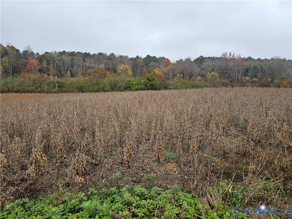 0 Ellis Road Suffolk, VA 23437 - Photo 8 of 29 an outdoor view of house with green field and trees in the back