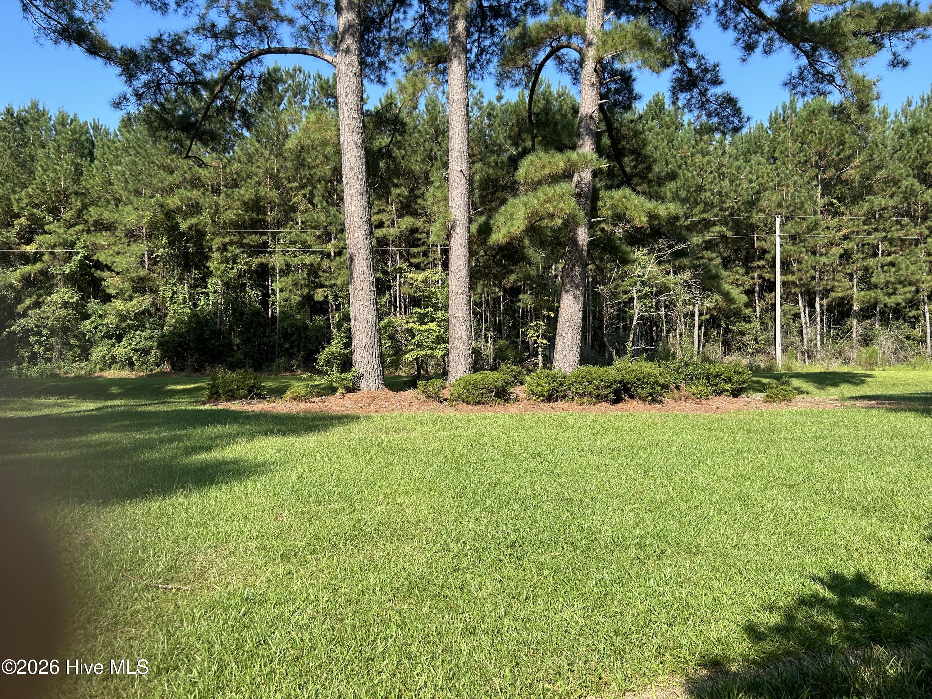 1738 Paul Barnes Road Chadbourn, NC 28431 - Photo 11 of 42 Gallery Image 11