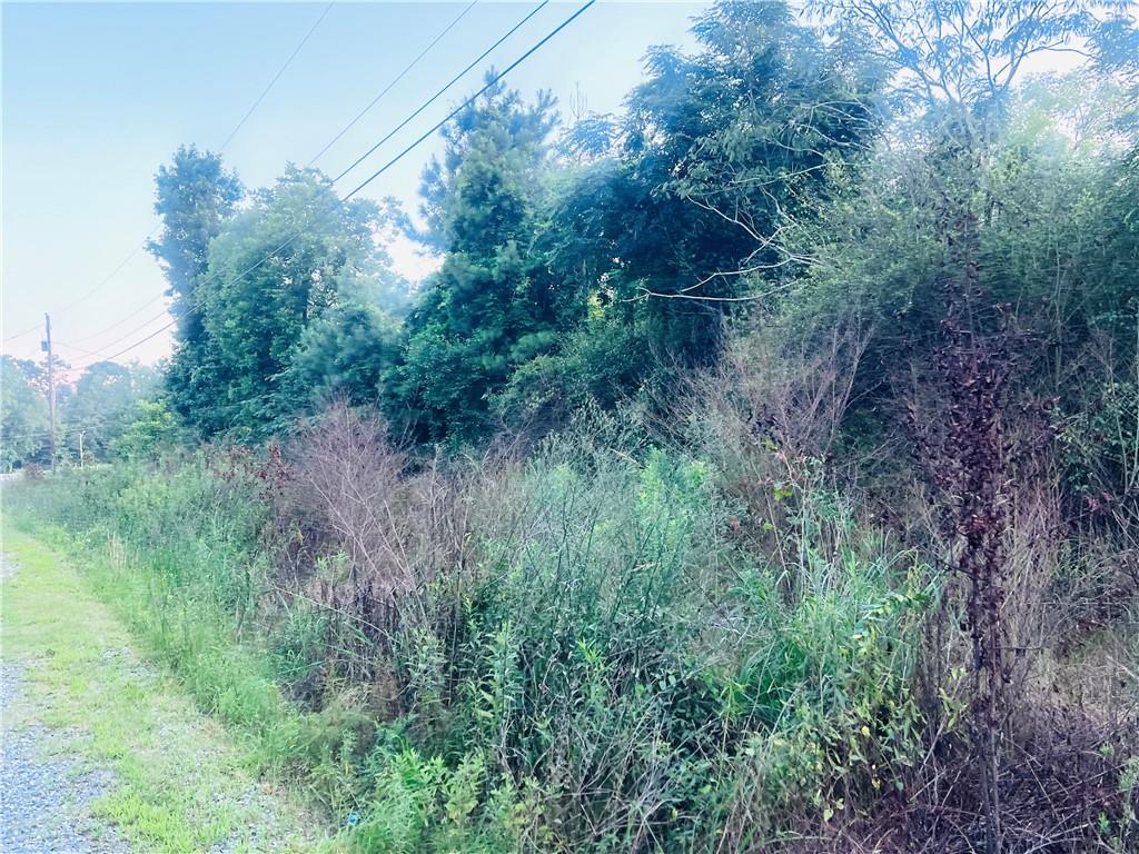 7070 Sofkee Place Macon, GA 31216 - Photo 6 of 8 a view of a lush green forest with lots of trees