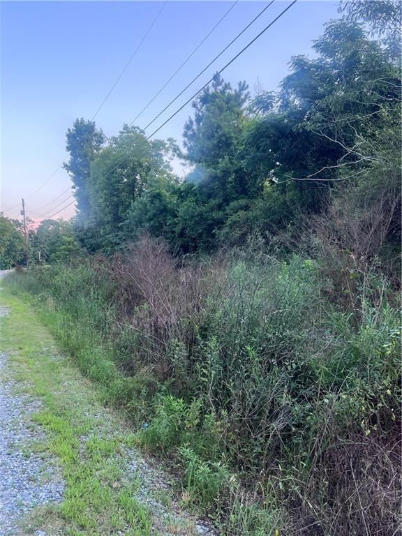 7070 Sofkee Place Macon, GA 31216 - Photo 8 of 8 a view of a lush green forest
