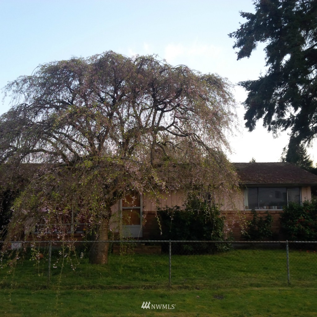 11317 Southeast 169th Street Renton, WA 98055 - Photo 3 of 4