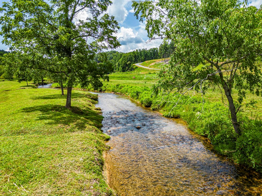 151 The Ridges Morganton, GA 30560 - Photo 33 of 35 Creek Runs Through Shared Community Area