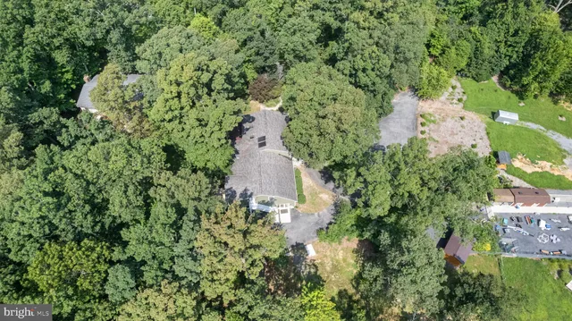 view of a lush green field with lots of bushes