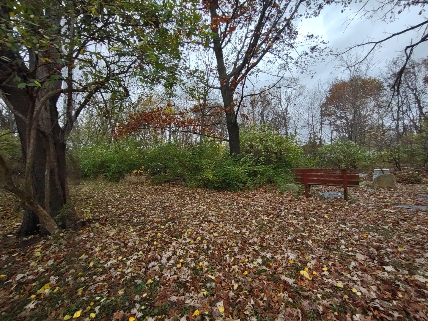 16456 South Lily Cache Road Plainfield, IL 60586 - Photo 58 of 65 Gallery Image 58