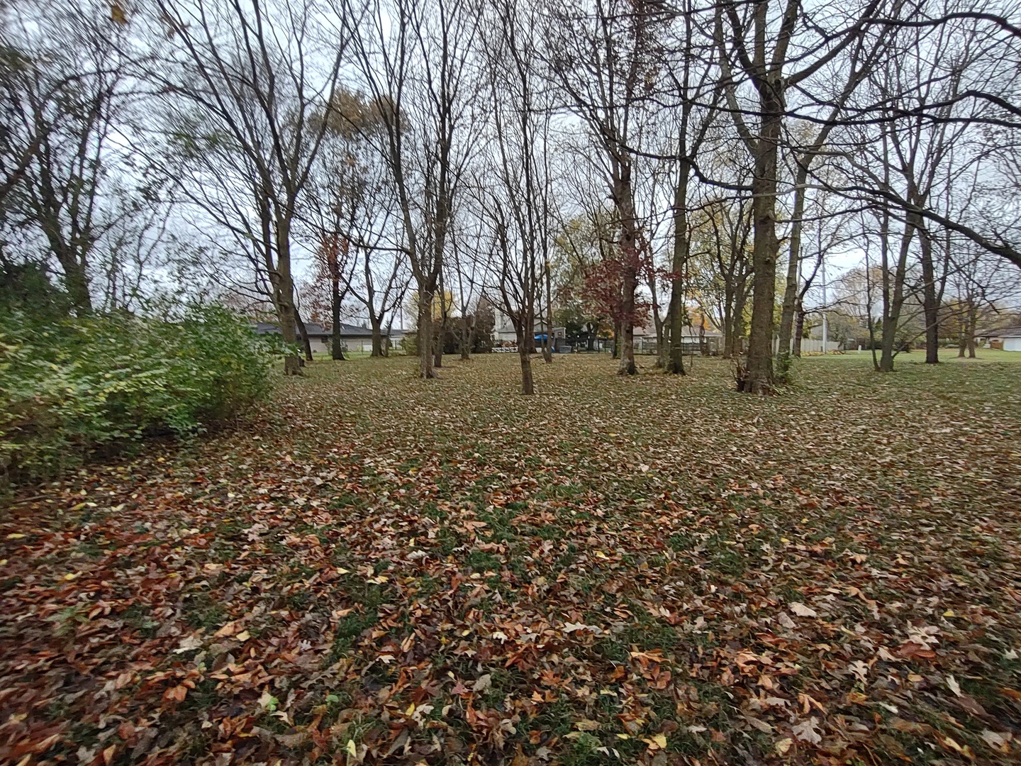 16456 South Lily Cache Road Plainfield, IL 60586 - Photo 59 of 65 Gallery Image 59