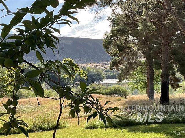 4778 River Road Buhl, ID 83316 - Photo 23 of 36
