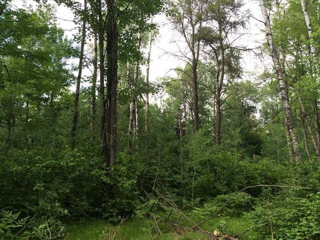 Lot B Hidden Waters Road Tomahawk, WI 54487 - Photo 8 of 15 Gallery Image 8