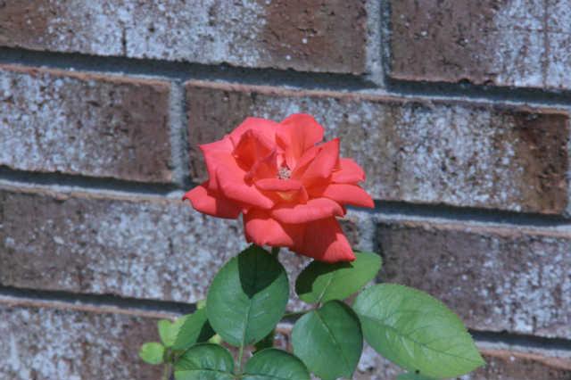 605 Lafayette Road Clarksville, TN 37042 - Photo 17 of 17 Gallery Image 17