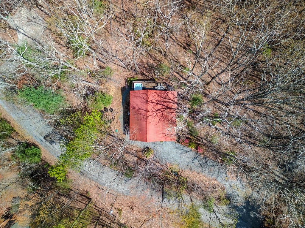 507 Bushy Head Road Cherry Log, GA 30522 - Photo 27 of 35 Gallery Image 27