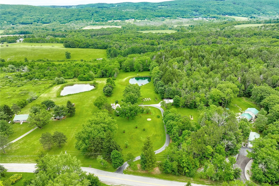 4343 Elm Tree Road Bloomfield, NY 14469 - Photo 9 of 50