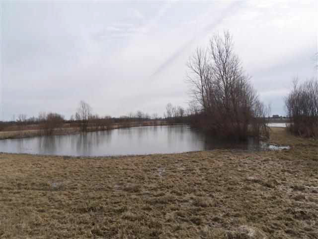 9705 East Windsor Road Selma, IN 47383 - Photo 2 of 21 Gallery Image 2