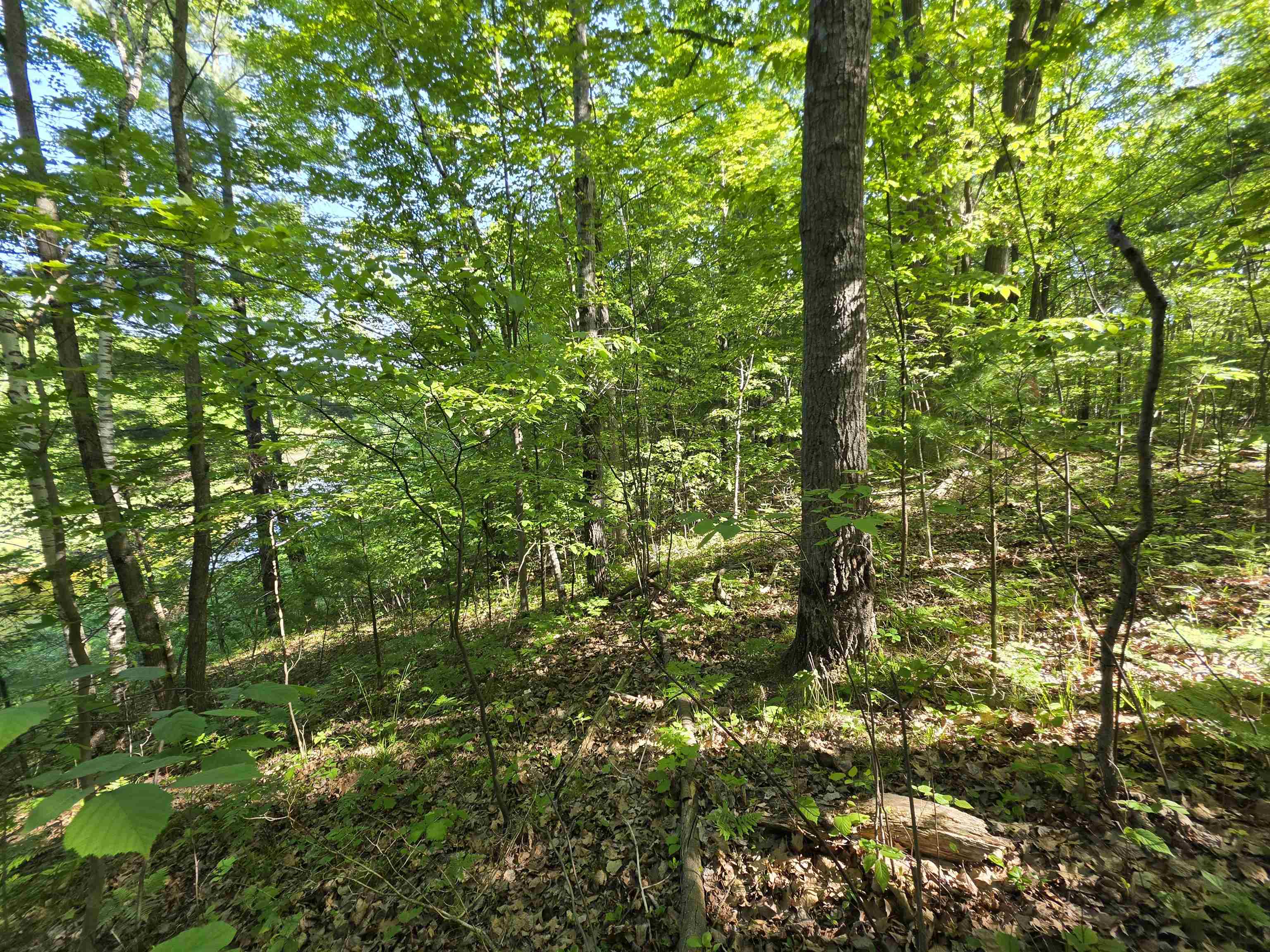 Tbd North Lakeshore Road Gladwin, MI 48624 - Photo 12 of 33