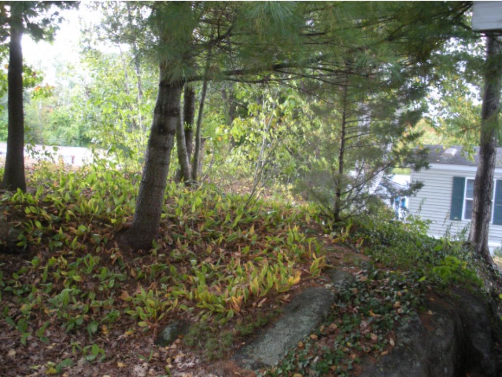 11 Colby Road Newmarket, NH 03857 - Photo 3 of 3