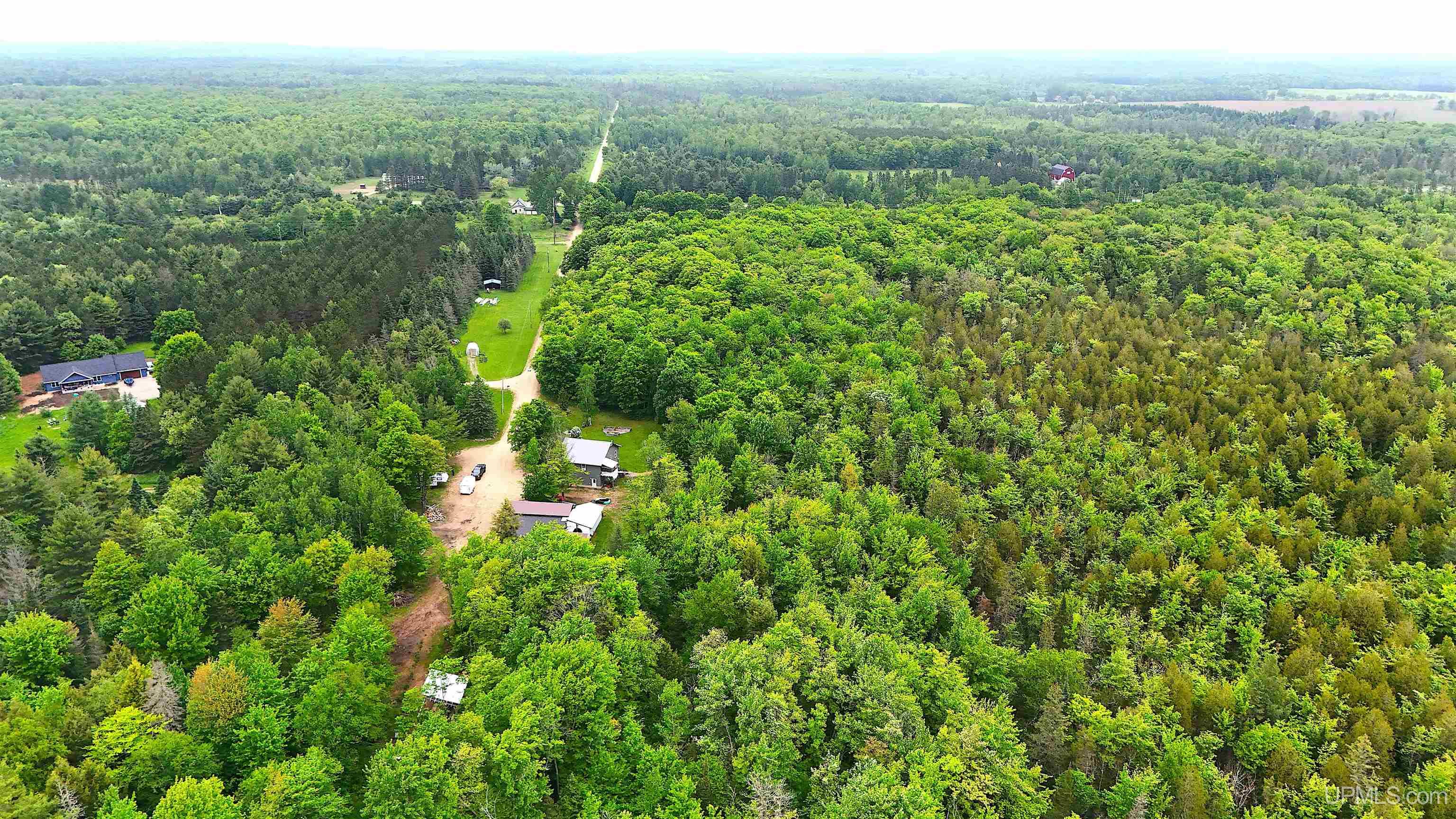 N5232 Dhondt Road Skandia, MI 49885 - Photo 44 of 53