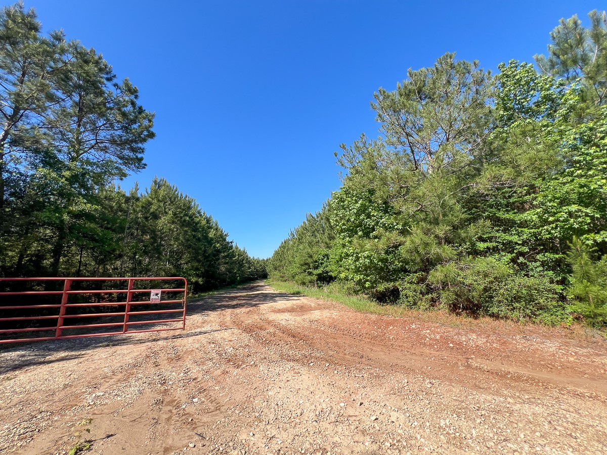 355 Eliot Trinity, TX 75862 - Photo 8 of 13