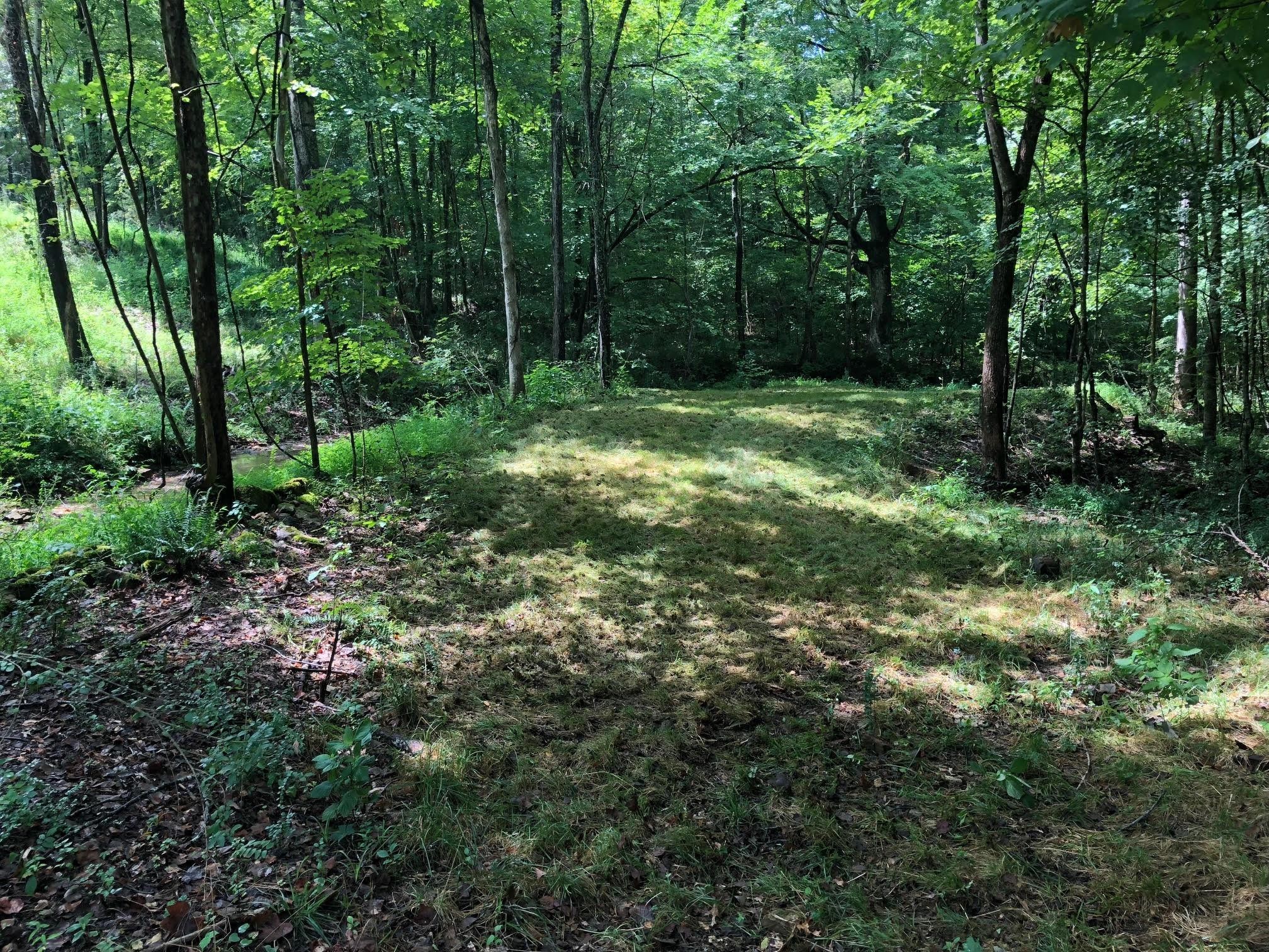 7379 Overbey Road Fairview, TN 37062 - Photo 11 of 18