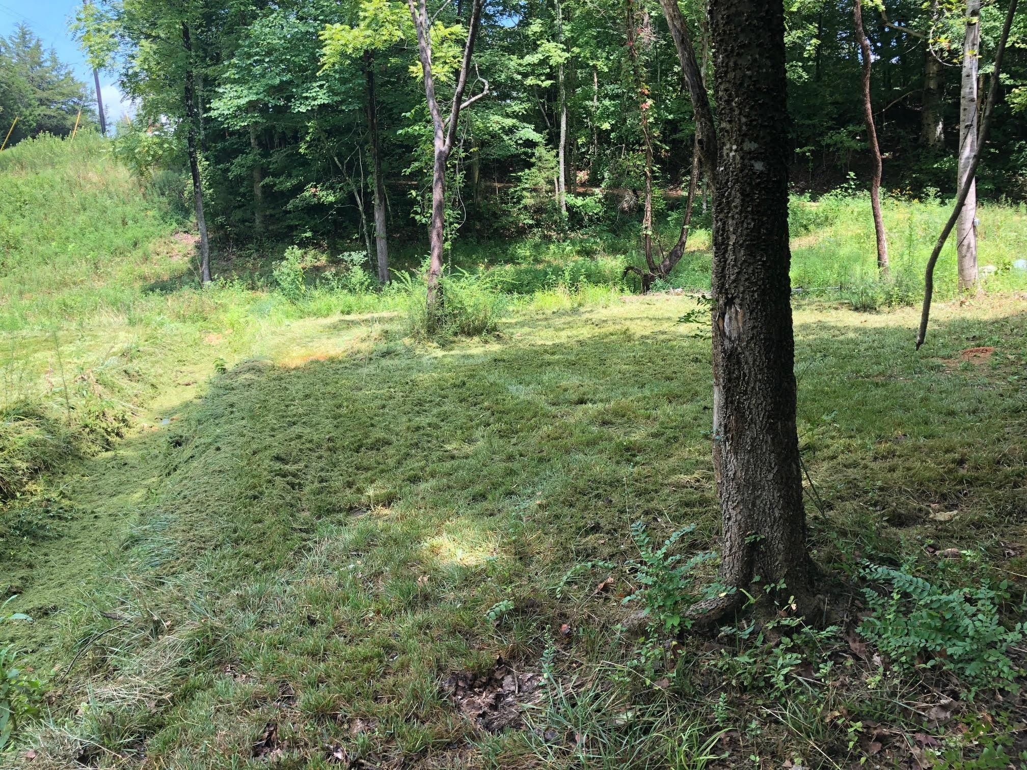7379 Overbey Road Fairview, TN 37062 - Photo 12 of 18