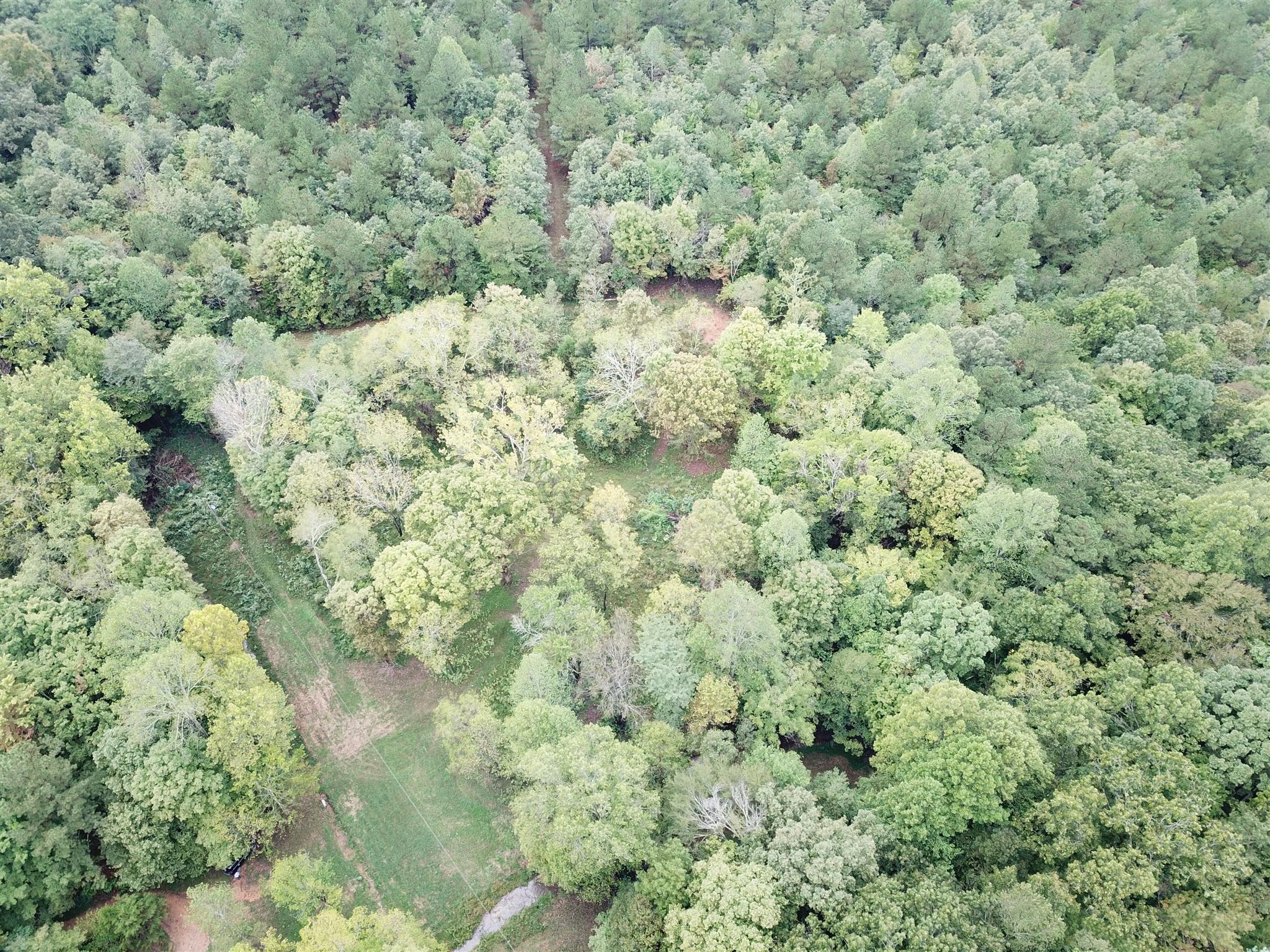 7379 Overbey Road Fairview, TN 37062 - Photo 13 of 18