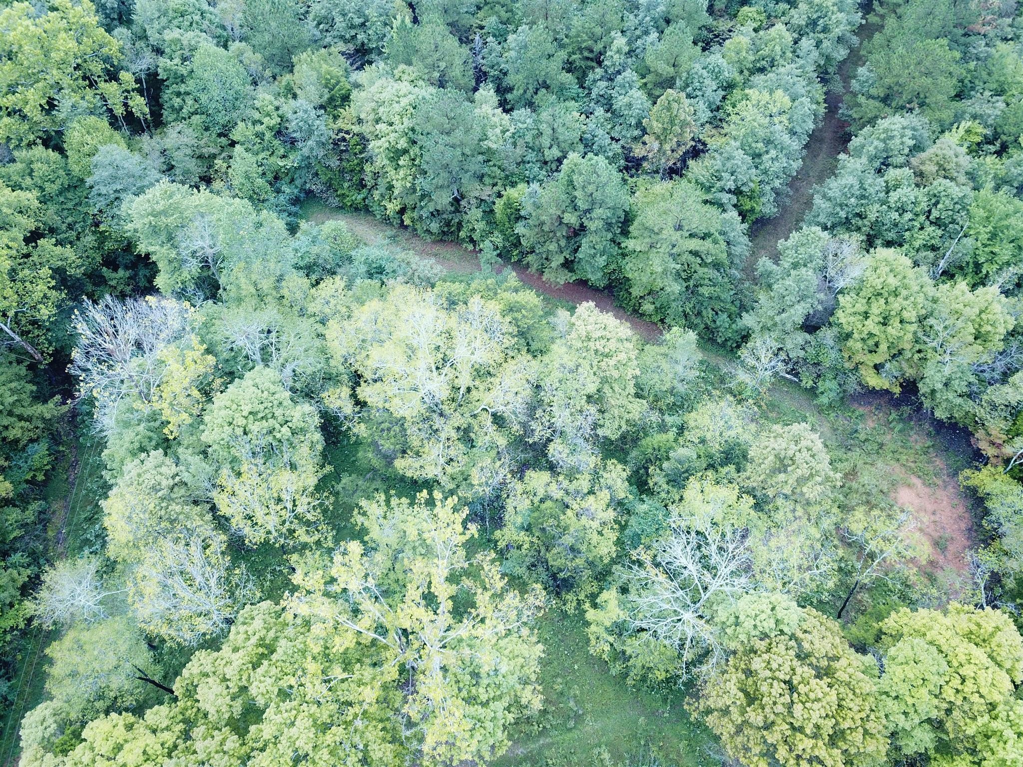 7379 Overbey Road Fairview, TN 37062 - Photo 15 of 18
