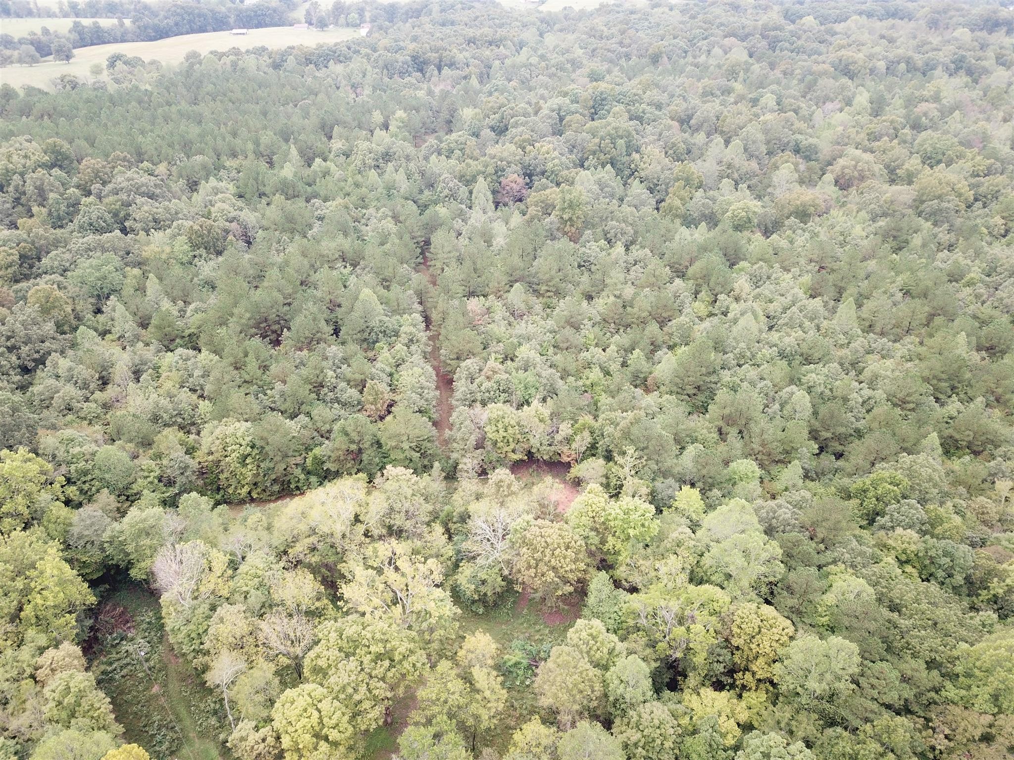 7379 Overbey Road Fairview, TN 37062 - Photo 17 of 18