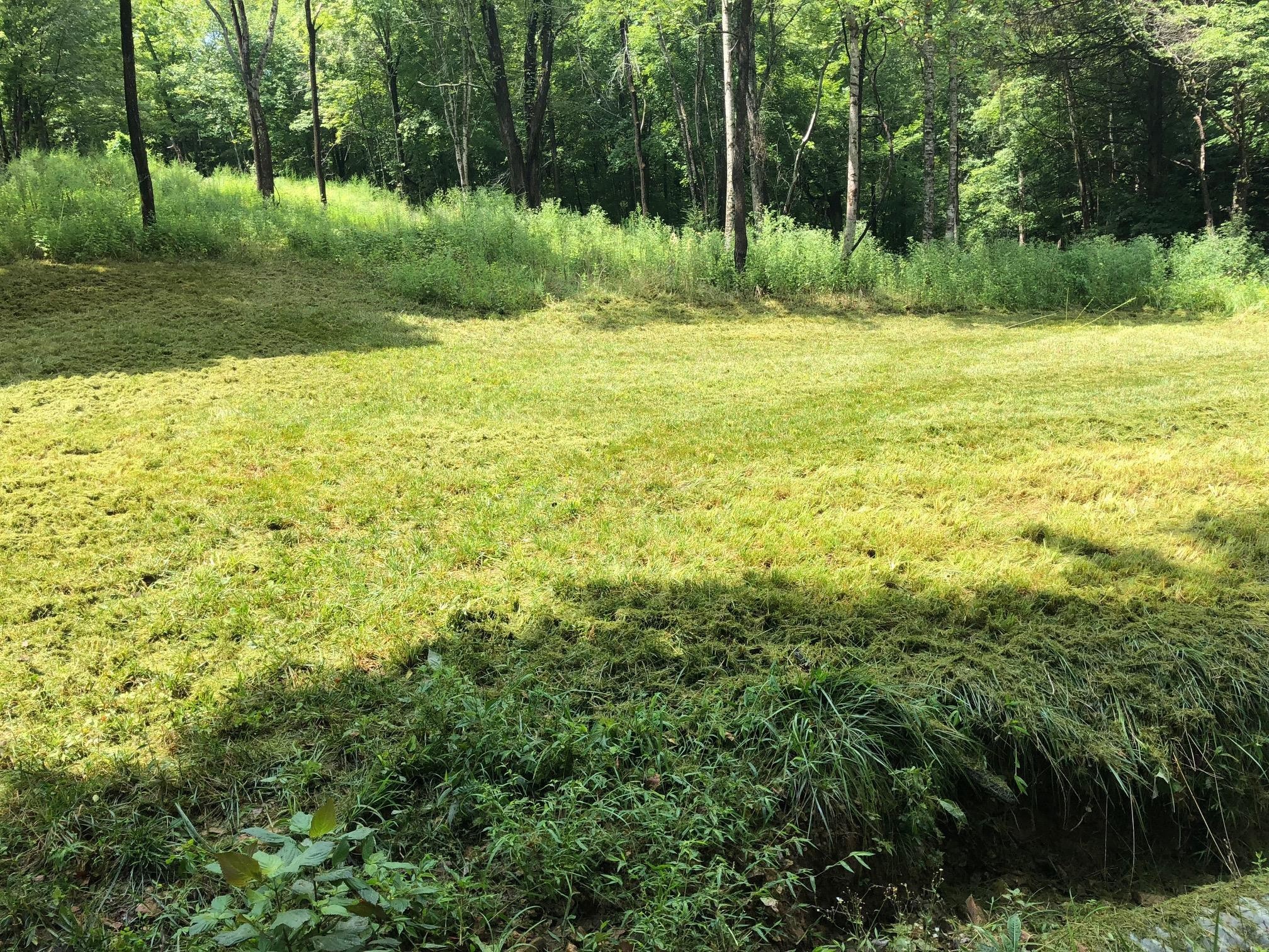 7379 Overbey Road Fairview, TN 37062 - Photo 4 of 18