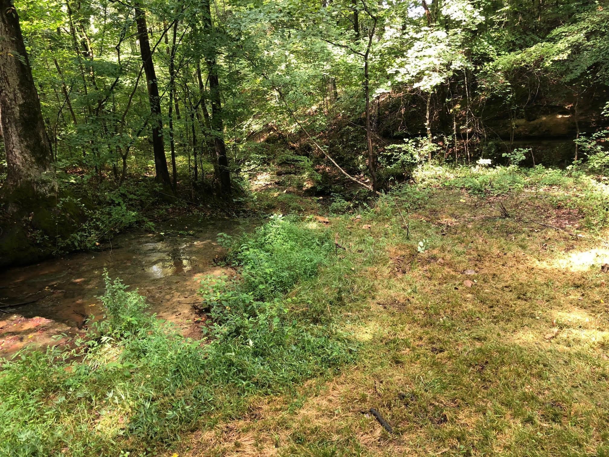 7379 Overbey Road Fairview, TN 37062 - Photo 6 of 18
