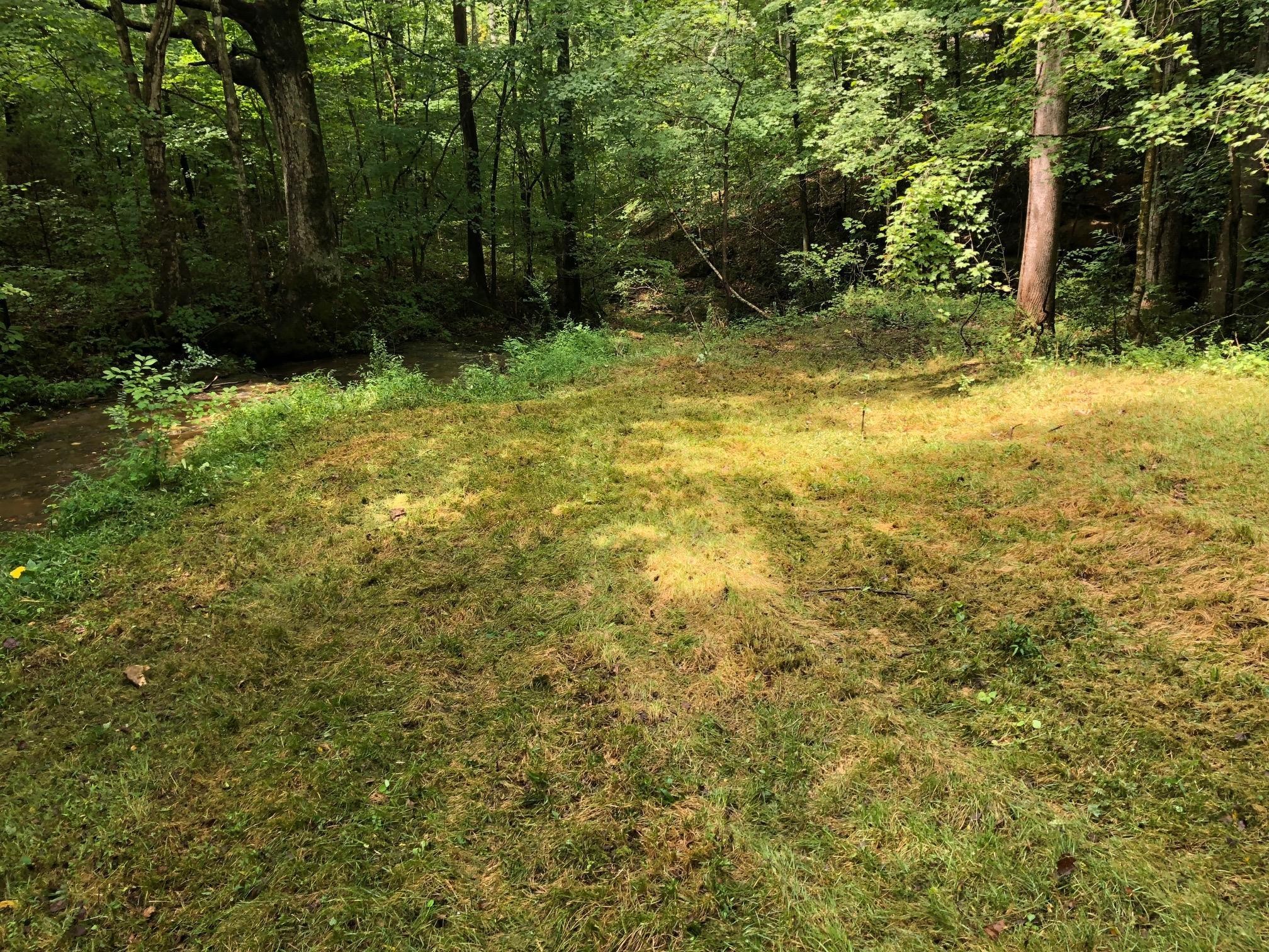 7379 Overbey Road Fairview, TN 37062 - Photo 8 of 18