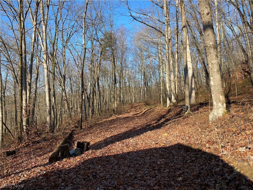 0 Shay Ridge Road New Matamoras, OH 45767 - Photo 28 of 29 View of nature