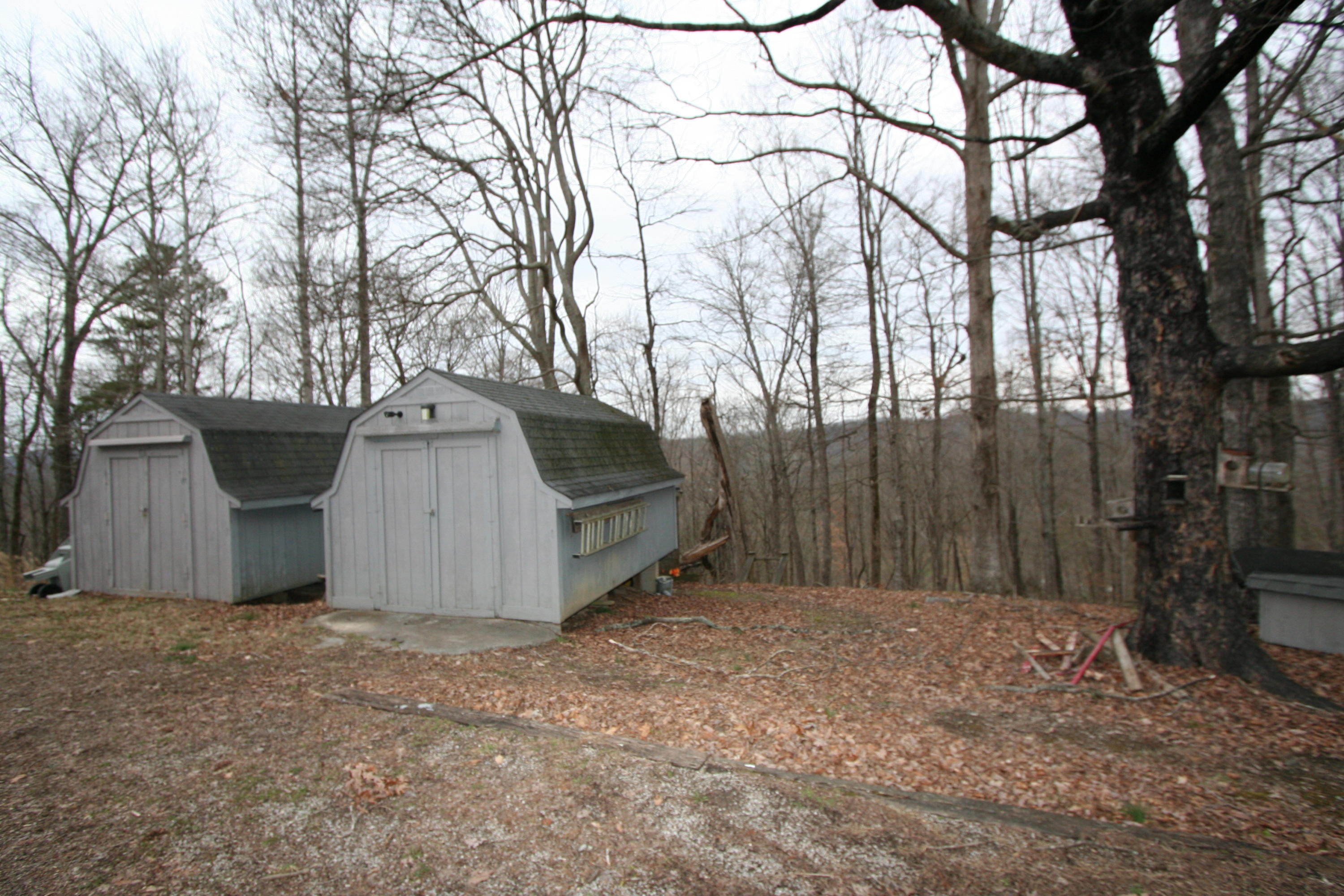 499 Wallace Road Luttrell, TN 37779 - Photo 1 of 34 2 Sheds in Backyard