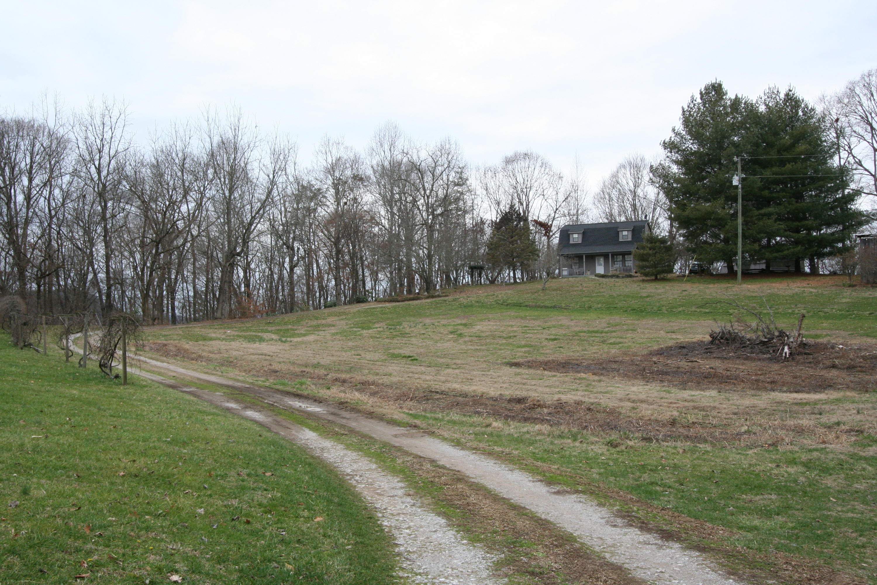 499 Wallace Road Luttrell, TN 37779 - Photo 13 of 34 Graveled Driveway to House