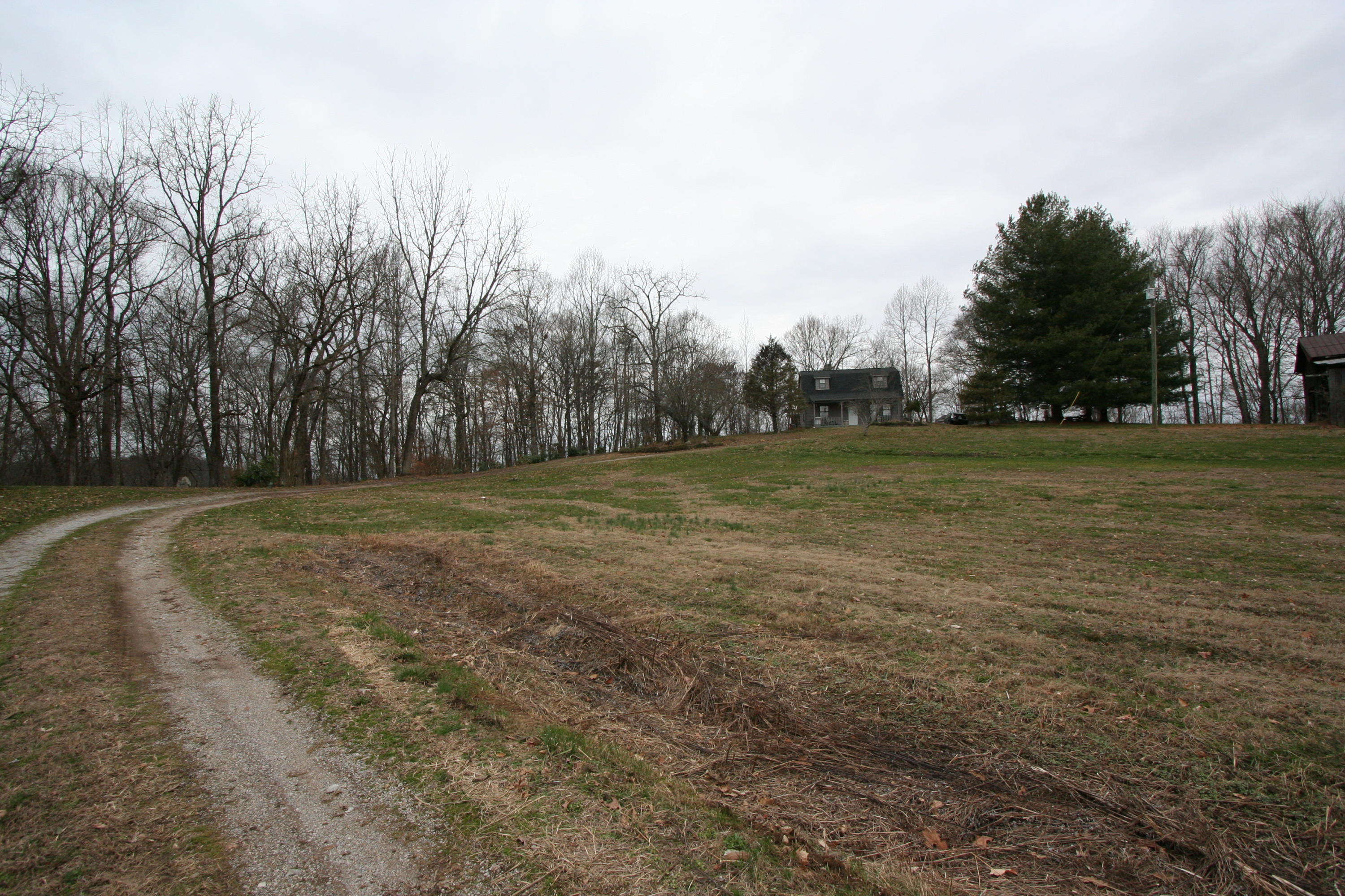 499 Wallace Road Luttrell, TN 37779 - Photo 14 of 34 House-Driveway-Yard