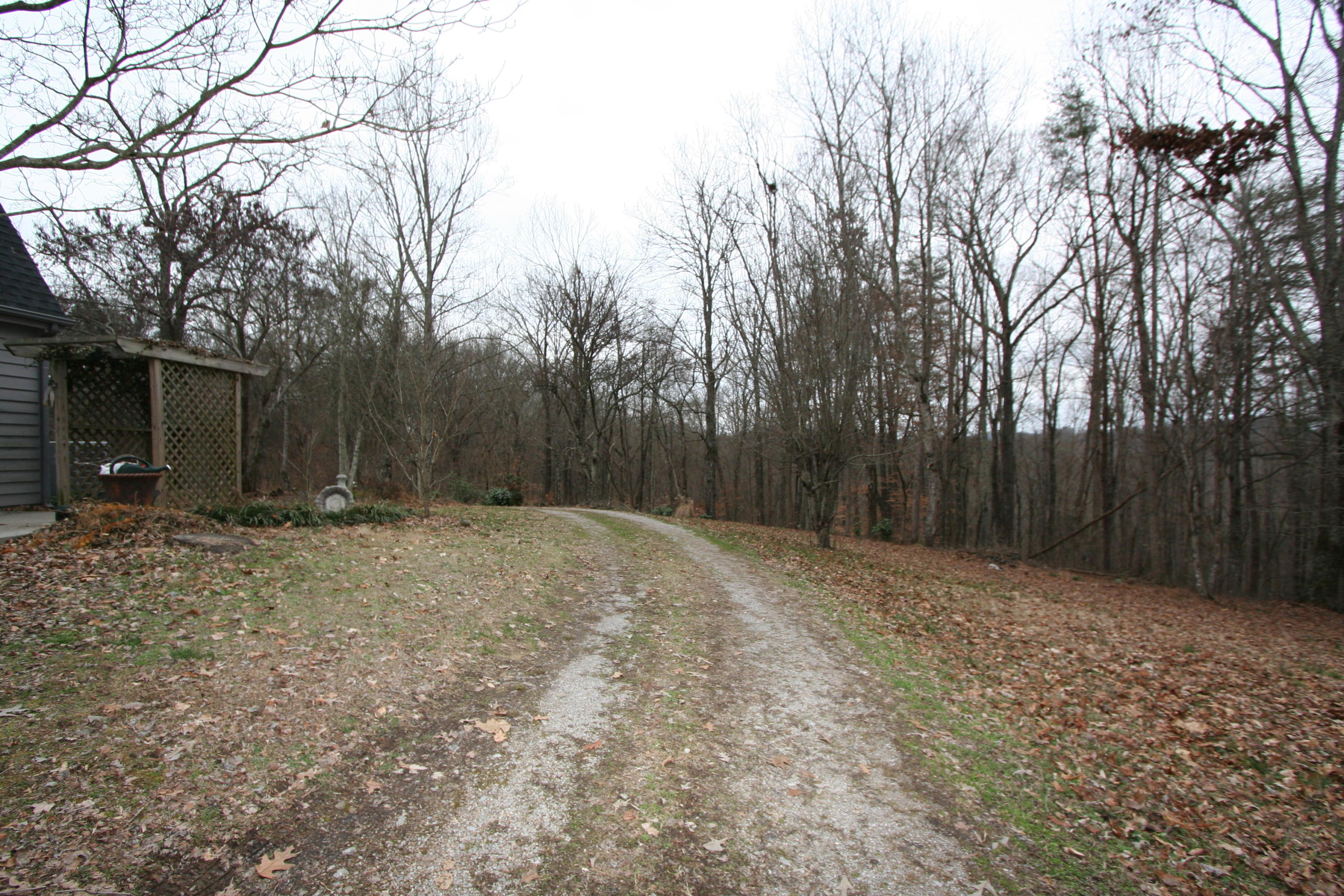 499 Wallace Road Luttrell, TN 37779 - Photo 18 of 34 Rear & Yard