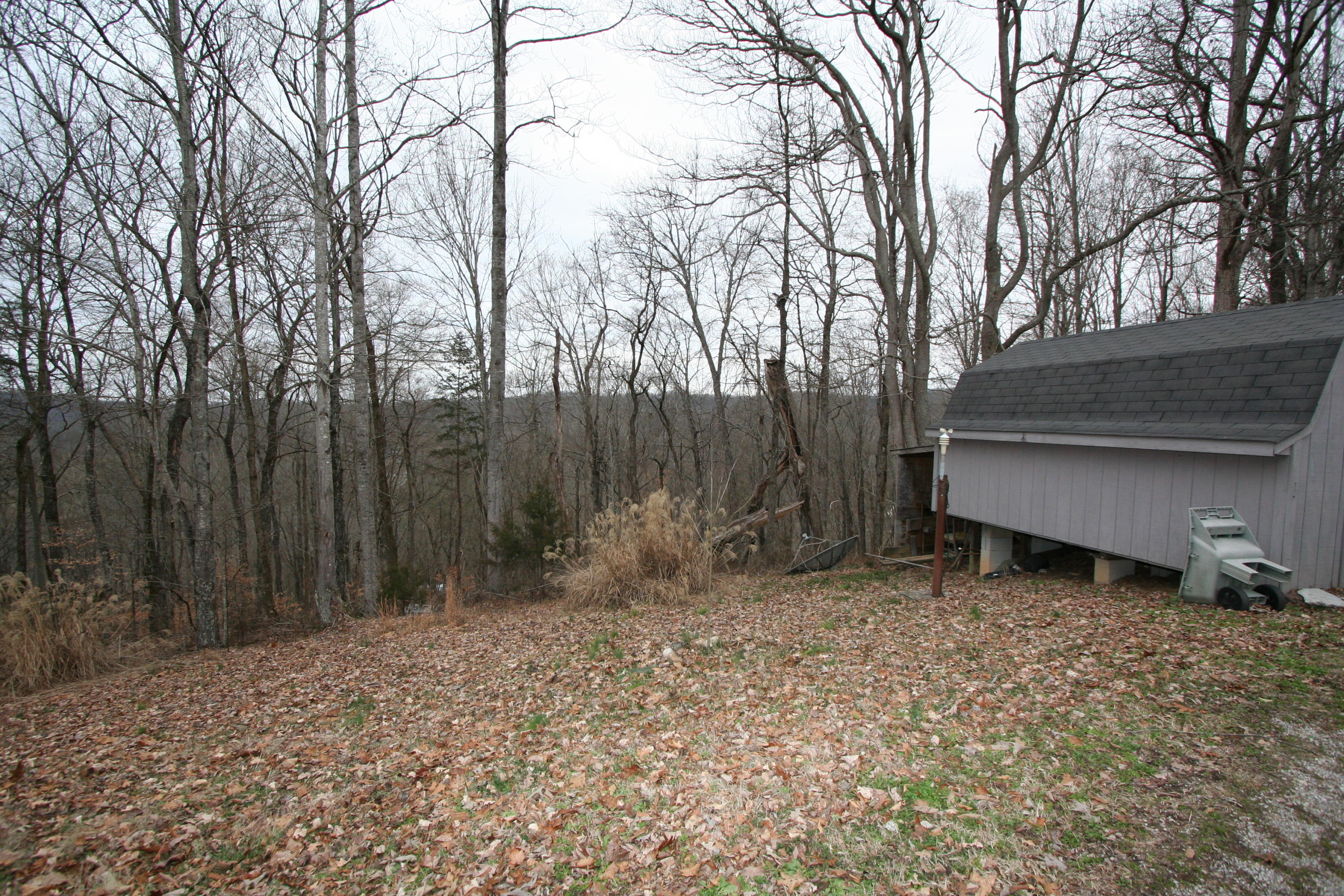 499 Wallace Road Luttrell, TN 37779 - Photo 3 of 34 Backyard at Sheds