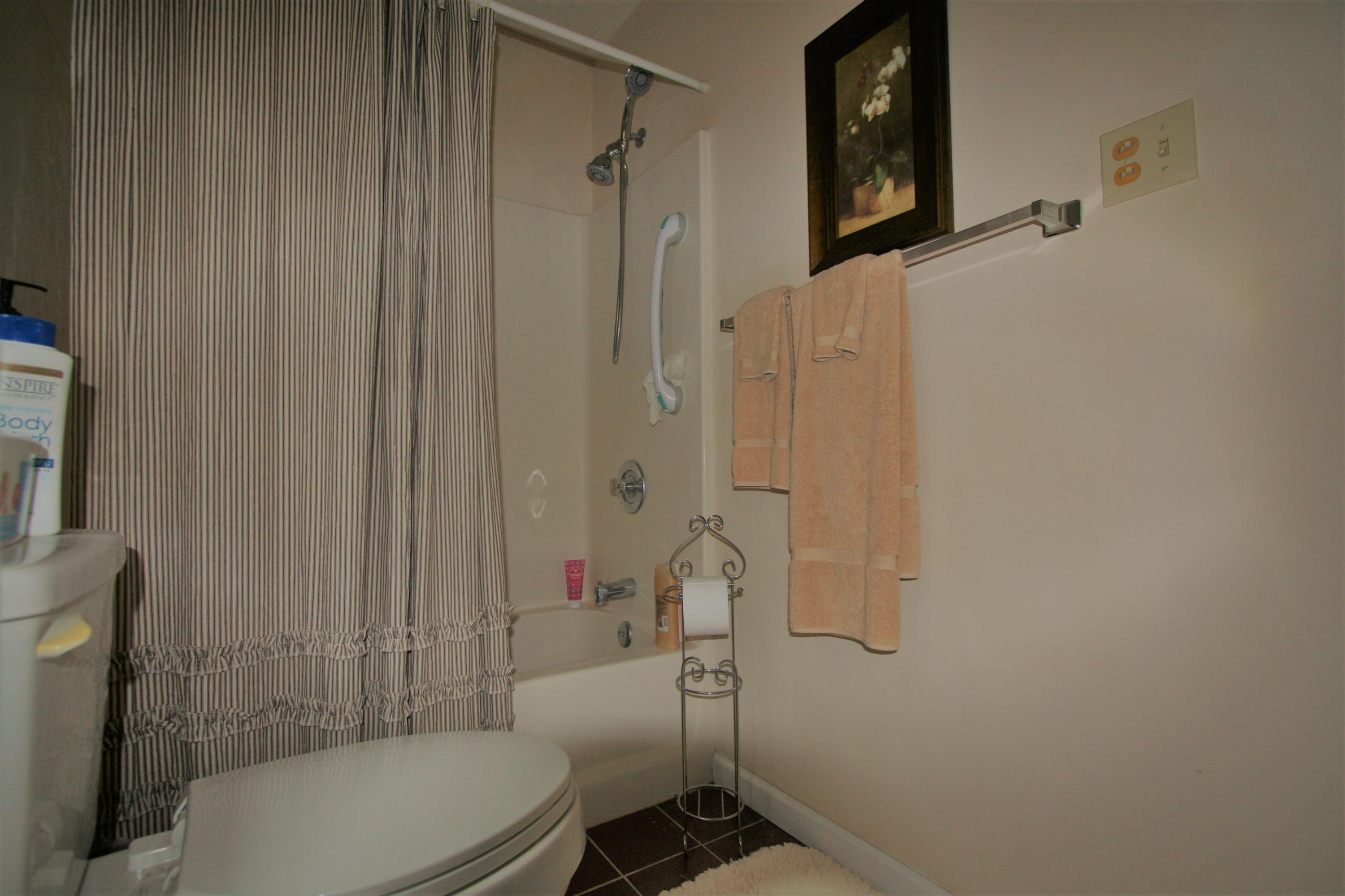 499 Wallace Road Luttrell, TN 37779 - Photo 25 of 34 Bath On Main2