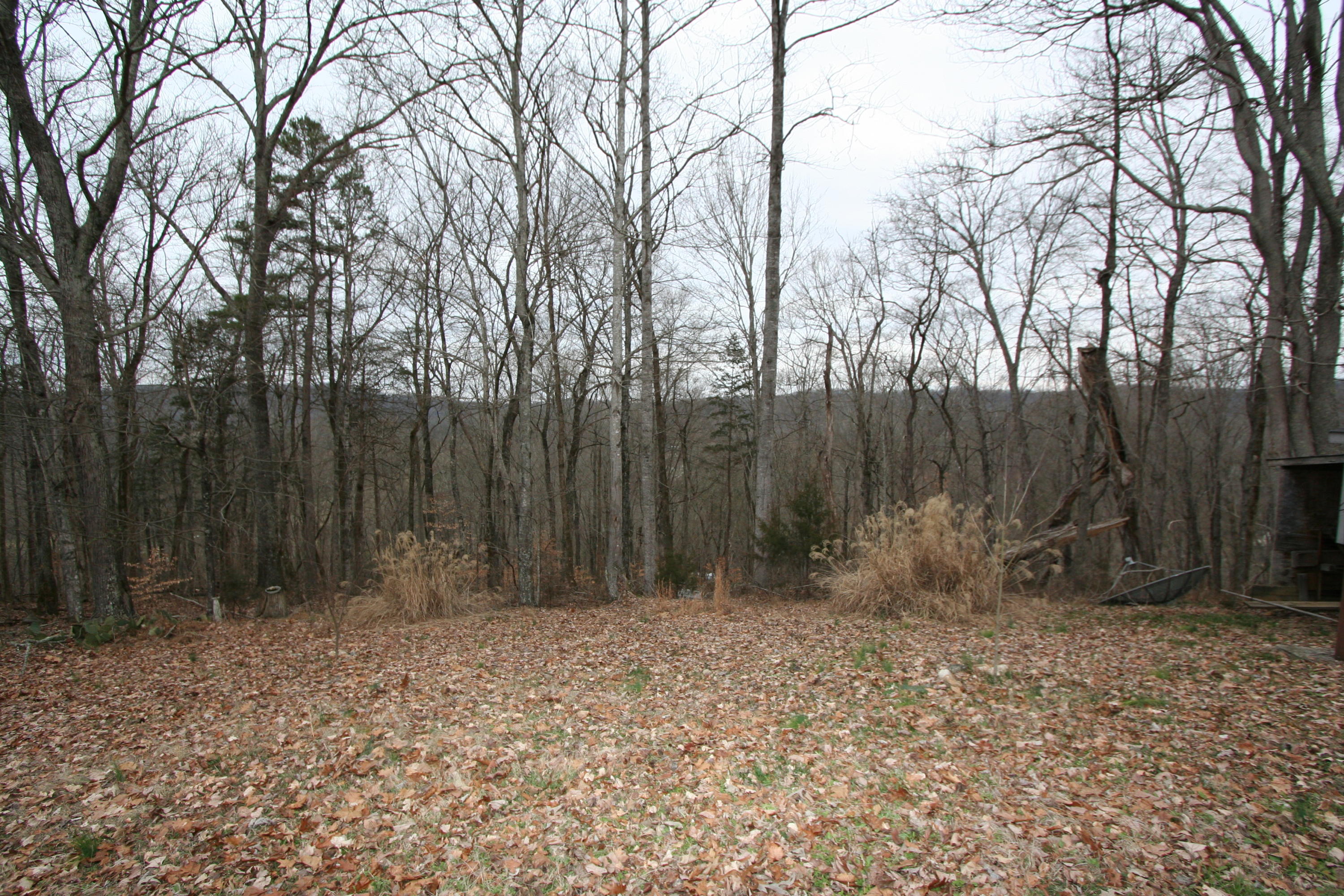 499 Wallace Road Luttrell, TN 37779 - Photo 8 of 34 Backyard Mtn. Views