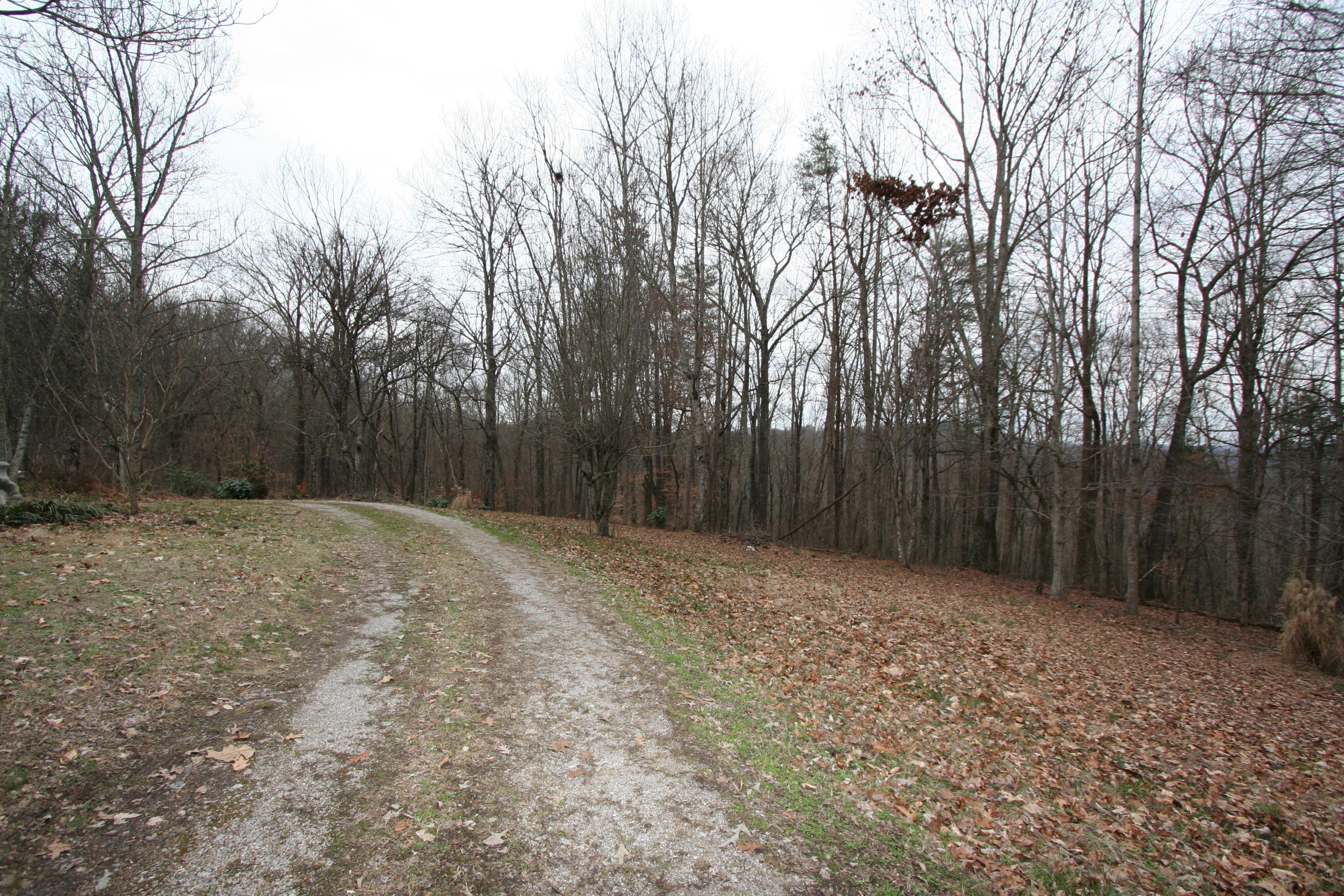 499 Wallace Road Luttrell, TN 37779 - Photo 9 of 34 Circle Drive at Rear 2